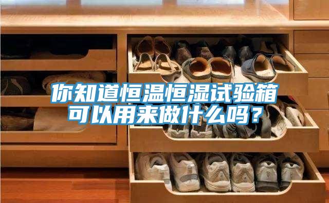 你知道恒温恒湿试验箱可以用来做什么吗？