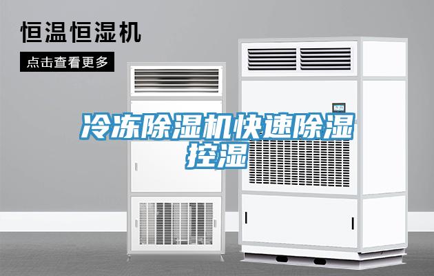 冷冻辣椒视频APP下载并安装快速除湿控湿