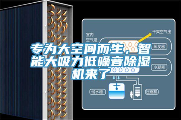 专为大空间而生，智能大吸力低噪音辣椒视频APP下载并安装来了