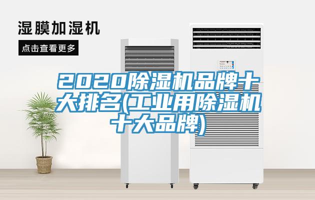 2020辣椒视频APP下载并安装品牌十大排名(工业用辣椒视频APP下载并安装十大品牌)