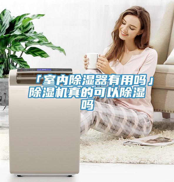 「室内除湿器有用吗」辣椒视频APP下载并安装真的可以除湿吗