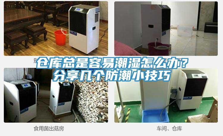 仓库总是容易潮湿怎么办？分享几个防潮小技巧