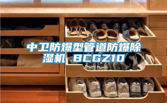 中卫防爆型管道防爆辣椒视频APP下载并安装 BCGZ10