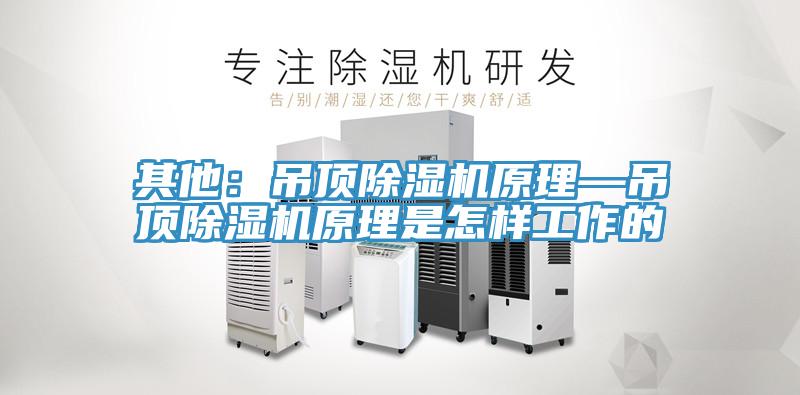 其他：吊顶辣椒视频APP下载并安装原理—吊顶辣椒视频APP下载并安装原理是怎样工作的
