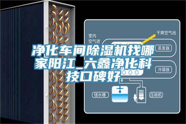 净化车间辣椒视频APP下载并安装找哪家阳江_六鑫净化科技口碑好
