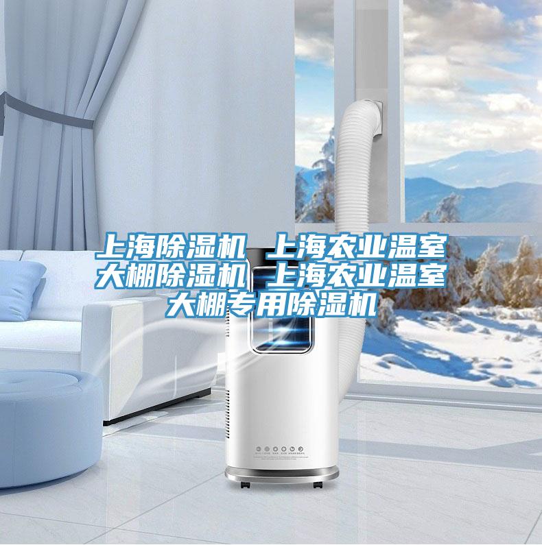 上海辣椒视频APP下载并安装 上海农业温室大棚辣椒视频APP下载并安装 上海农业温室大棚专用辣椒视频APP下载并安装