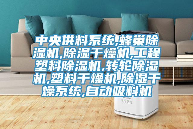 中央供料系统,蜂巢辣椒视频APP下载并安装,除湿干燥机,工程塑料辣椒视频APP下载并安装,转轮辣椒视频APP下载并安装,塑料干燥机,除湿干燥系统,自动吸料机