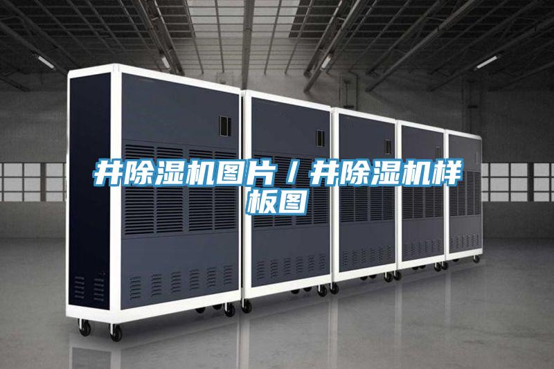 井辣椒视频APP下载并安装图片／井辣椒视频APP下载并安装样板图