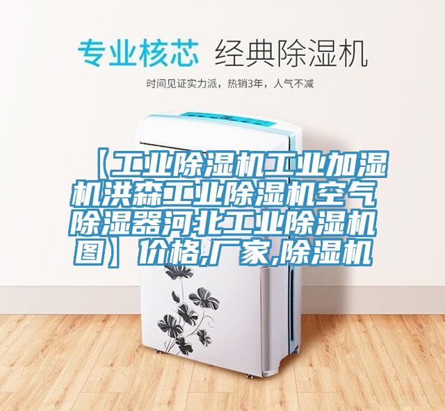 【工业辣椒视频APP下载并安装工业加湿机洪森工业辣椒视频APP下载并安装空气除湿器河北工业辣椒视频APP下载并安装图】价格,厂家,辣椒视频APP下载并安装