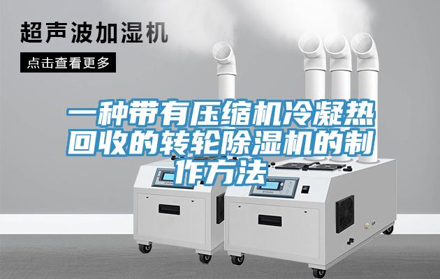 一种带有压缩机冷凝热回收的转轮辣椒视频APP下载并安装的制作方法
