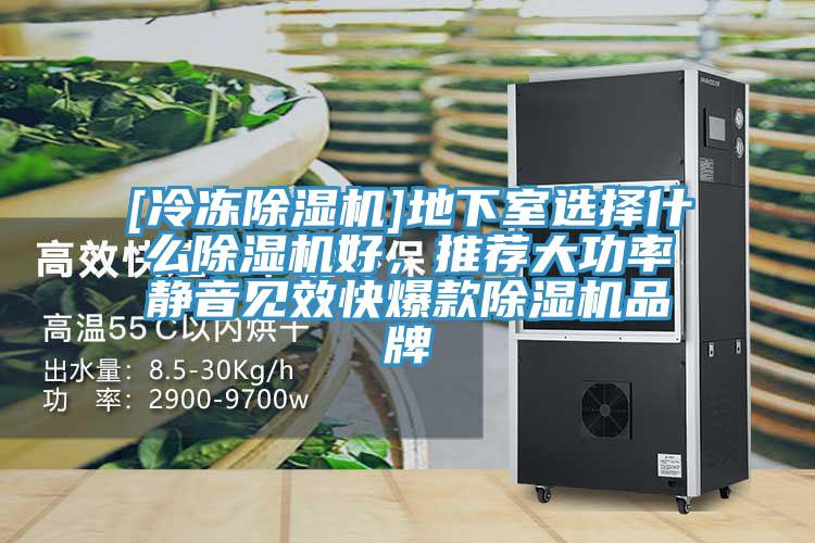 [冷冻辣椒视频APP下载并安装]地下室选择什么辣椒视频APP下载并安装好，推荐大功率静音见效快爆款辣椒视频APP下载并安装品牌