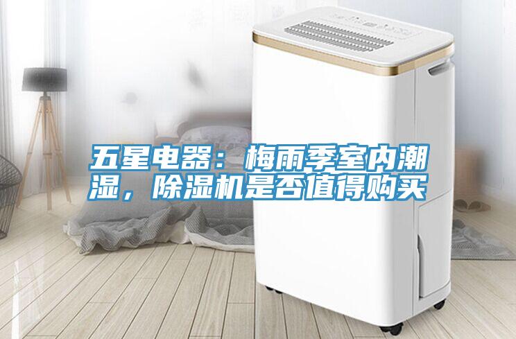 五星电器：梅雨季室内潮湿，辣椒视频APP下载并安装是否值得购买