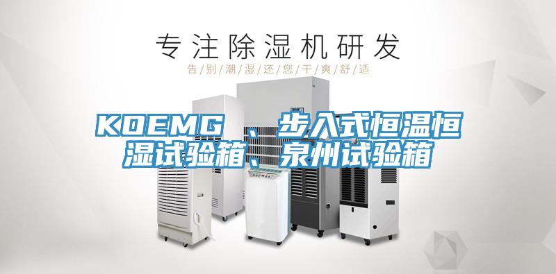 KOEMG 、步入式恒温恒湿试验箱、泉州试验箱