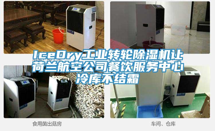 IceDry工业转轮辣椒视频APP下载并安装让荷兰航空公司餐饮服务中心冷库不结霜