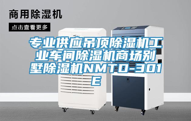 专业供应吊顶辣椒视频APP下载并安装工业车间辣椒视频APP下载并安装商场别墅辣椒视频APP下载并安装NMTD-301E