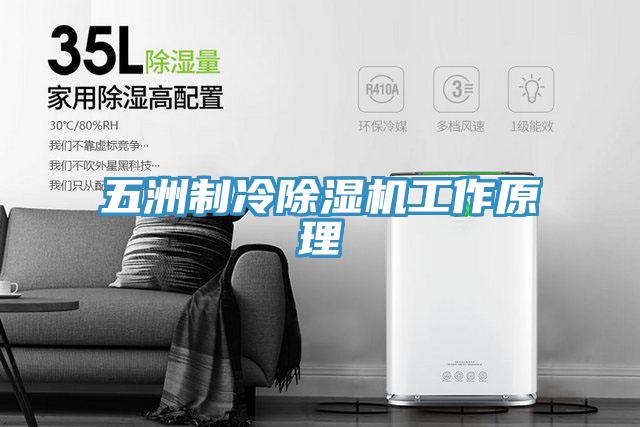 五洲制冷辣椒视频APP下载并安装工作原理