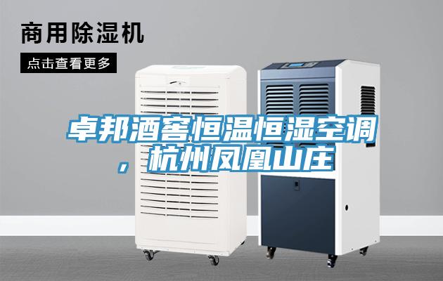卓邦酒窖恒温恒湿空调，杭州凤凰山庄
