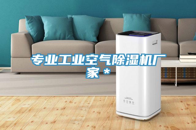 专业工业空气辣椒视频APP下载并安装厂家＊