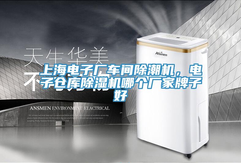 上海电子厂车间除潮机，电子仓库辣椒视频APP下载并安装哪个厂家牌子好