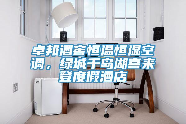 卓邦酒窖恒温恒湿空调，绿城千岛湖喜来登度假酒店