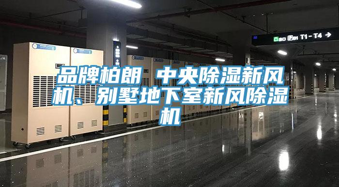 品牌柏朗 中央除湿新风机、别墅地下室新风辣椒视频APP下载并安装