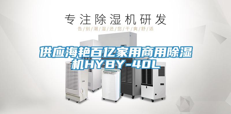 供应海艳百亿家用商用辣椒视频APP下载并安装HYBY-40L
