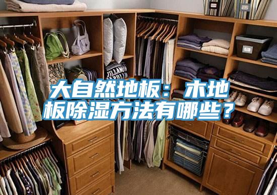 大自然地板：木地板除湿方法有哪些？