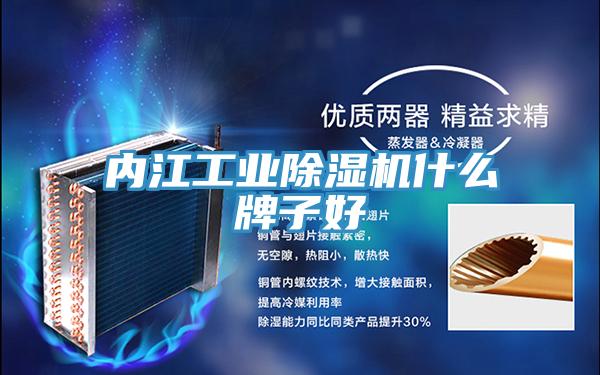 内江工业辣椒视频APP下载并安装什么牌子好