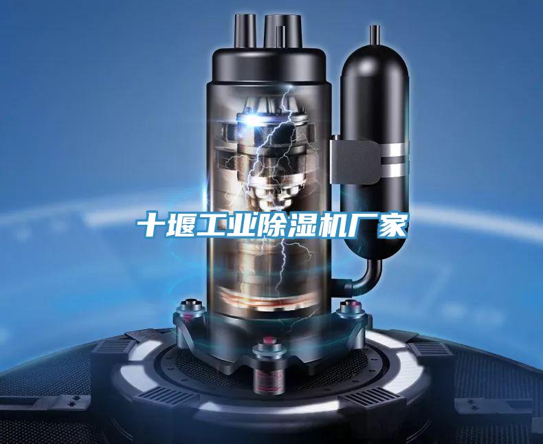 十堰工业辣椒视频APP下载并安装厂家