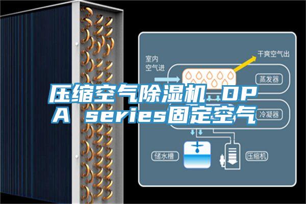 压缩空气辣椒视频APP下载并安装 DPA series固定空气