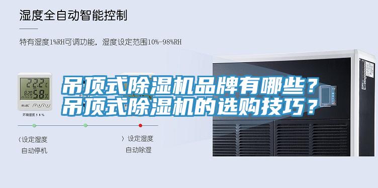 吊顶式辣椒视频APP下载并安装品牌有哪些？吊顶式辣椒视频APP下载并安装的选购技巧？