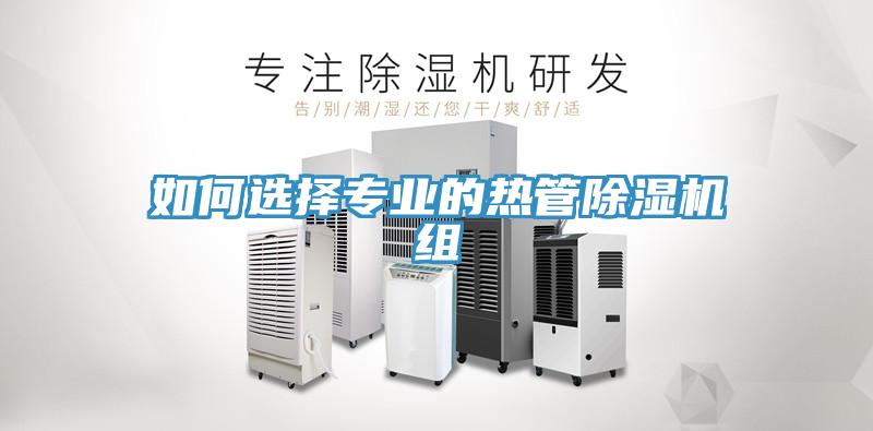 如何选择专业的热管辣椒视频APP下载并安装组