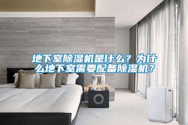 地下室辣椒视频APP下载并安装是什么？为什么地下室需要配备辣椒视频APP下载并安装？