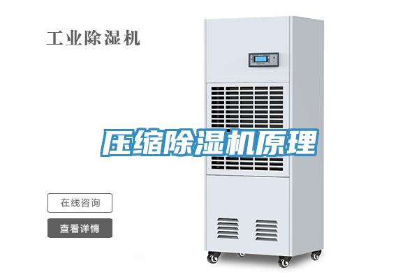 压缩辣椒视频APP下载并安装原理