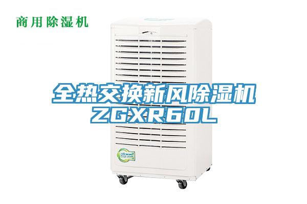 全热交换新风辣椒视频APP下载并安装ZGXR60L