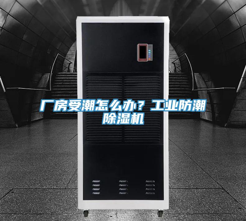厂房受潮怎么办？工业防潮辣椒视频APP下载并安装