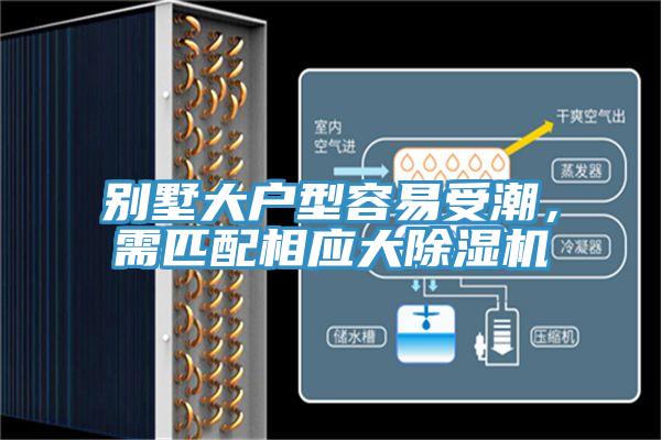 别墅大户型容易受潮，需匹配相应大辣椒视频APP下载并安装