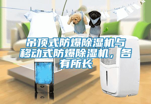 吊顶式防爆辣椒视频APP下载并安装与移动式防爆辣椒视频APP下载并安装，各有所长