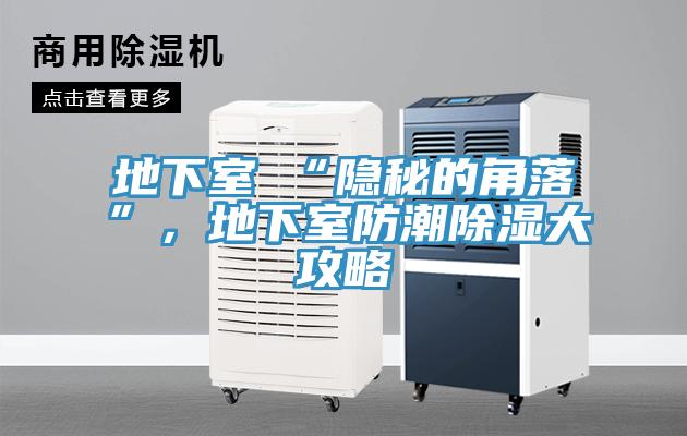 地下室≠“隐秘的角落”，地下室防潮除湿大攻略