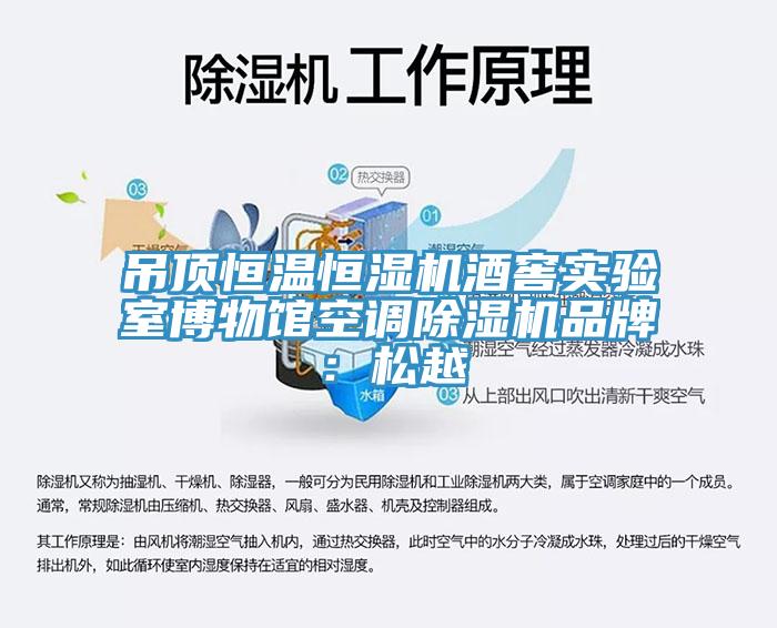 吊顶恒温恒湿机酒窖实验室博物馆空调辣椒视频APP下载并安装品牌：松越