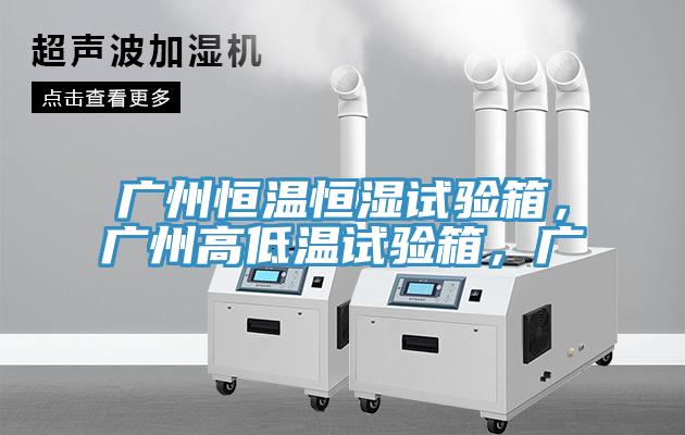 广州恒温恒湿试验箱，广州高低温试验箱，广
