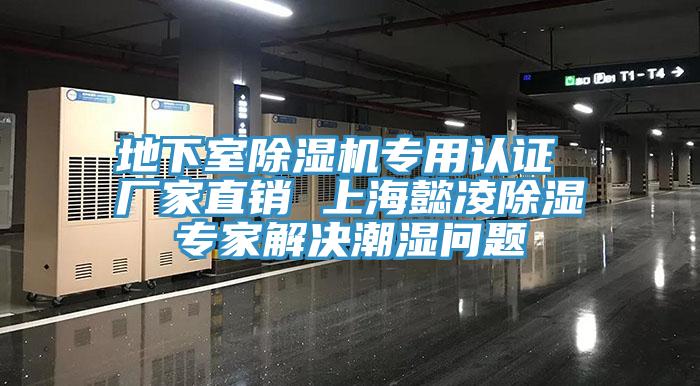 地下室辣椒视频APP下载并安装专用认证 厂家直销 上海懿凌除湿专家解决潮湿问题