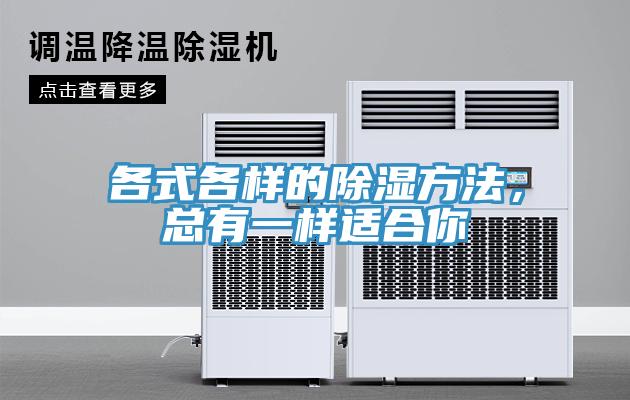 各式各样的除湿方法，总有一样适合你