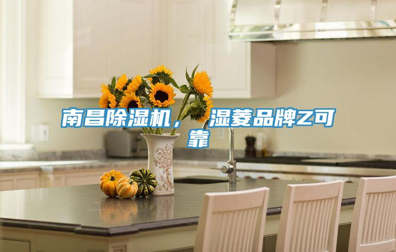 南昌辣椒视频APP下载并安装， 湿菱品牌Z可靠