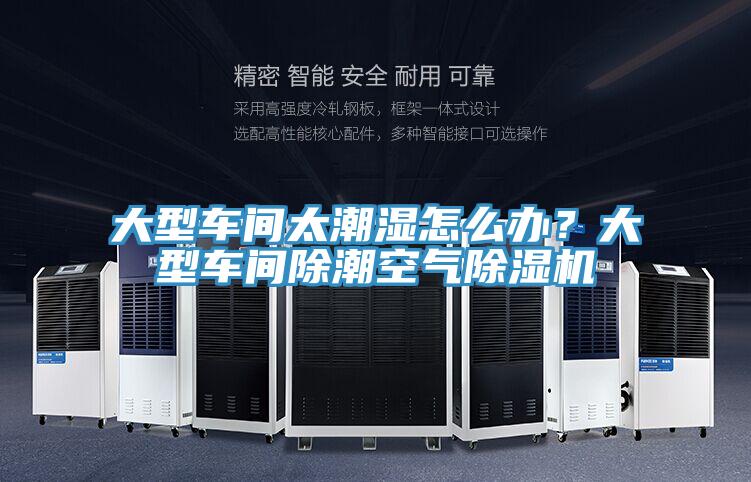 大型车间太潮湿怎么办？大型车间除潮空气辣椒视频APP下载并安装