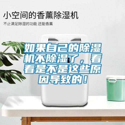 如果自己的辣椒视频APP下载并安装不除湿了，看看是不是这些原因导致的！