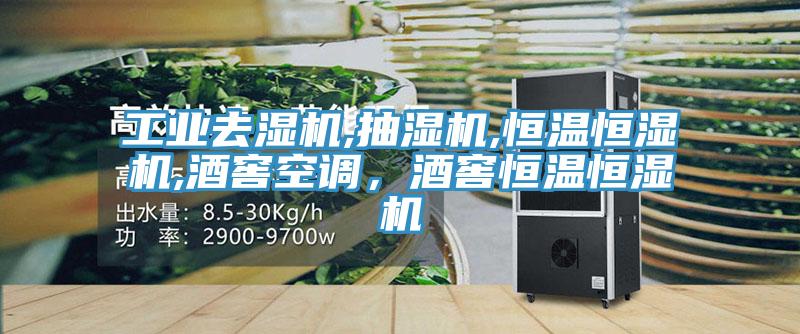 工业去湿机,抽湿机,恒温恒湿机,酒窖空调，酒窖恒温恒湿机