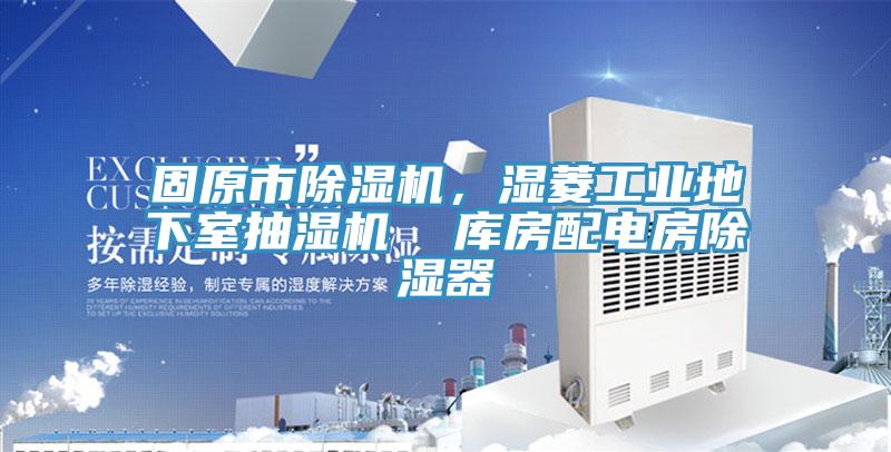 固原市辣椒视频APP下载并安装，湿菱工业地下室抽湿机  库房配电房除湿器