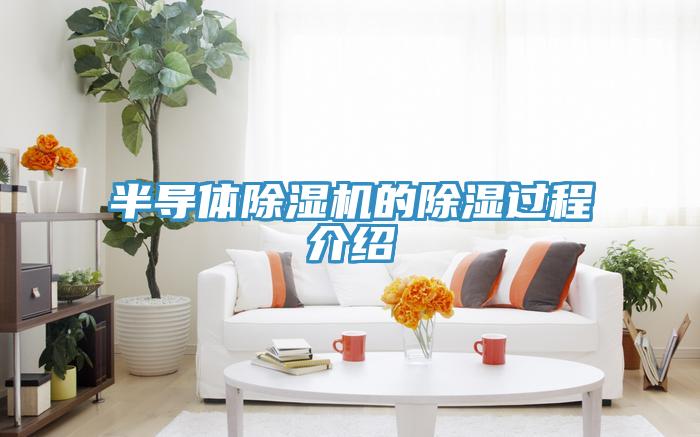 半导体辣椒视频APP下载并安装的除湿过程介绍