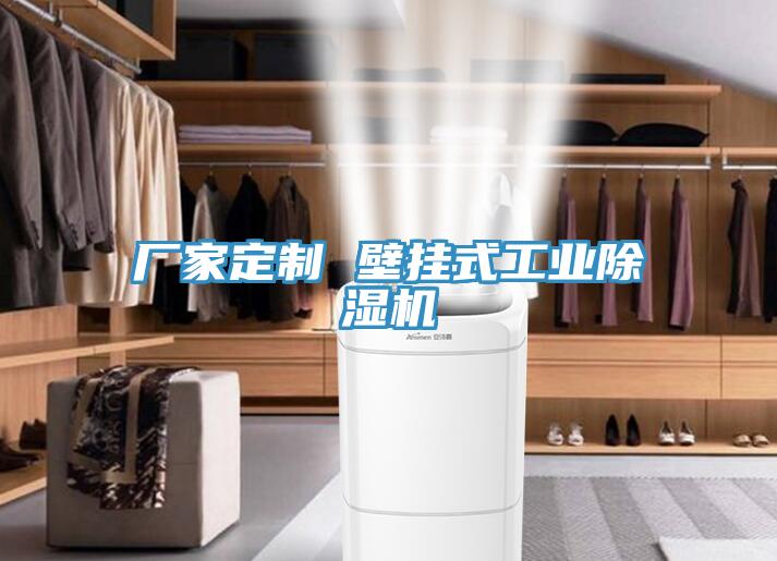 厂家定制 壁挂式工业辣椒视频APP下载并安装